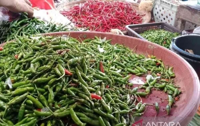 Harga Cabai di Kota Medan Jelang Ramadan Menurun