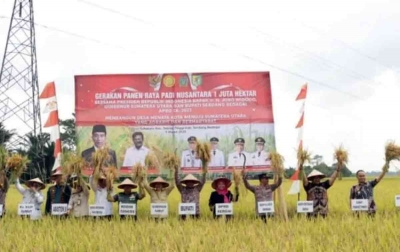 Serdang Bedagai Menjadi Lumbung Padi Sumatera Utara