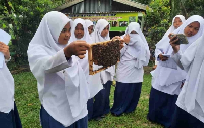 Kisah Pengusaha Madu Siantar Raih Sukses Dan Berdayakan Masyarakat, Sukses Bersama BRI