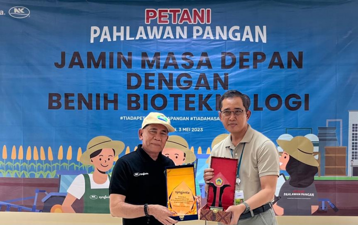 Penggunaan Benih Unggul Berkualitas Kunci Peningkatan Produktivitas Petani Jagung