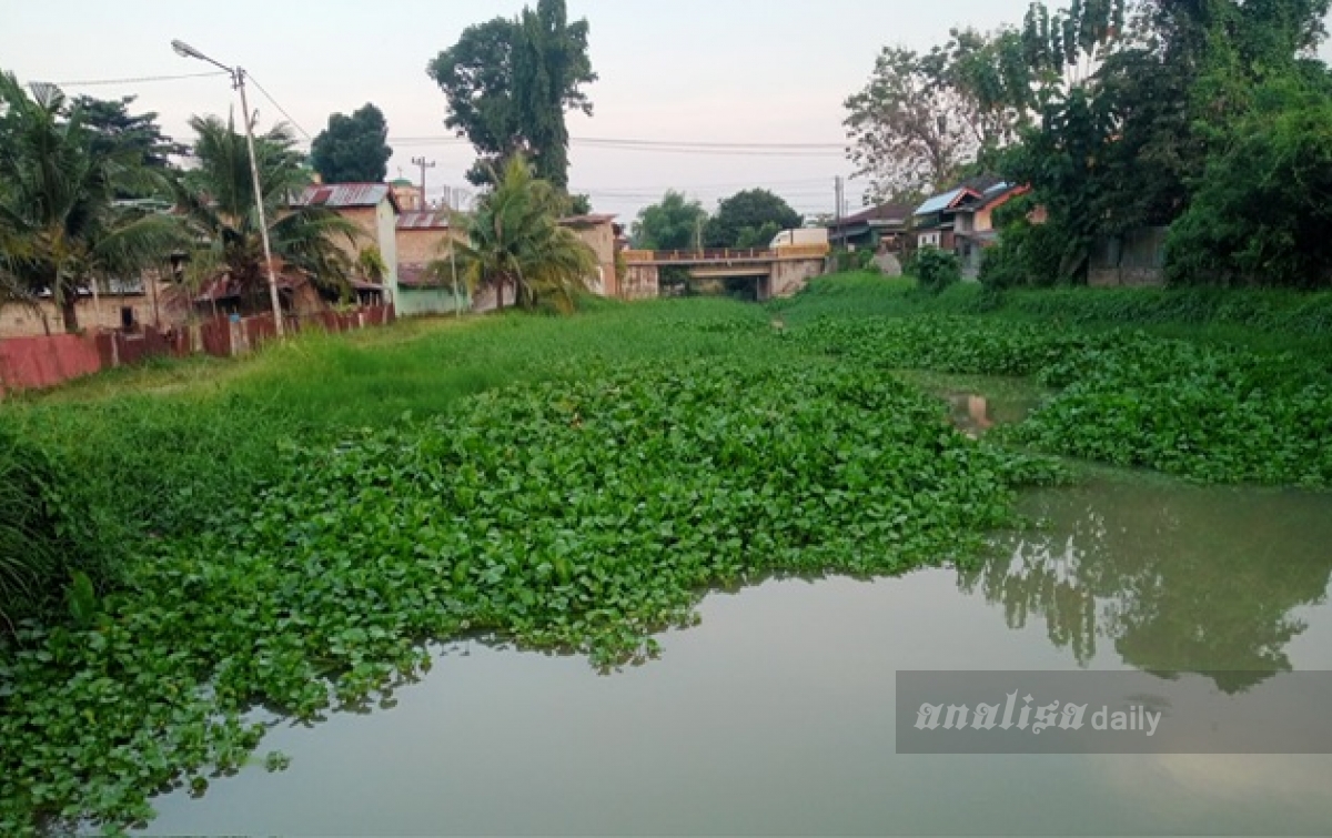 Enceng Gondok Tutupi Permukaan Air Sungai Kelembah