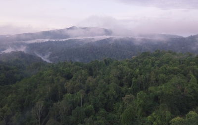Masyarakat Adat Berperan Jaga Kawasan Batang Toru dan Perangi Perubahan Iklim