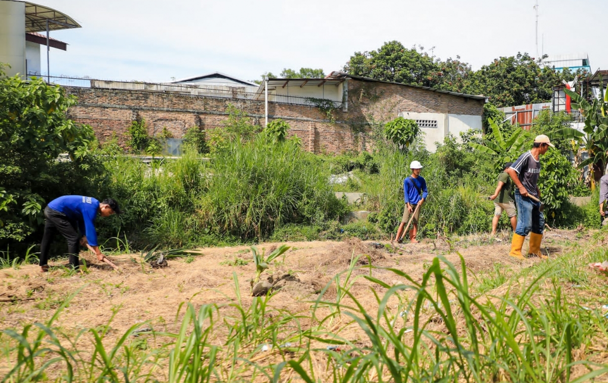 Aksi Bersih dan Penanaman Pohon di Bantaran Sungai Babura