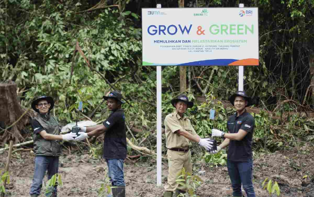 BRI Peduli Grow & Green Salurkan 2.500 Bibit Pohon Durian di Berau