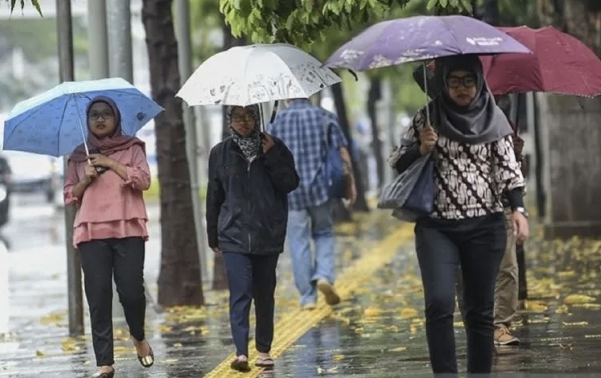 Hujan Ringan Diprakirakan Guyur Mayoritas Kota Besar Indonesia