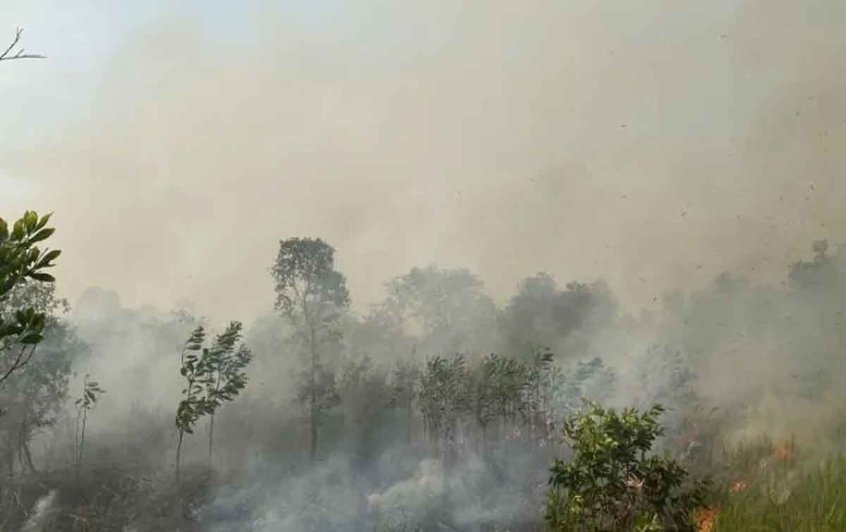 Cuaca Cerah Berawan Terjadi di Sejumlah Daerah