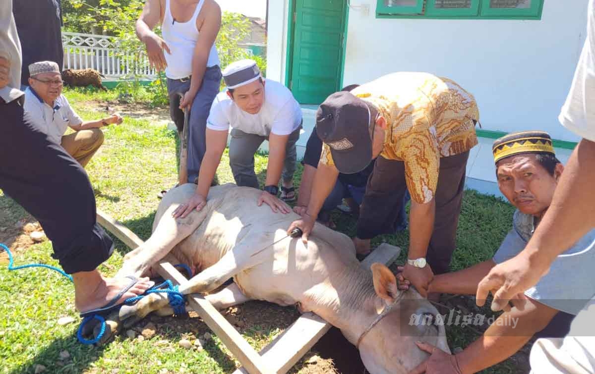 Berbagi dengan Warga HIPMI Palas Sembelih Hewan Qurban