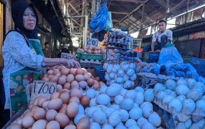 Pemerintah Diharap Stabilkan Harga Daging Ayam dan Telur