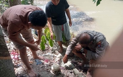 Tengkorak Manusia Ditemukan di Pinggiran Sungai Kota Sidimpuan 