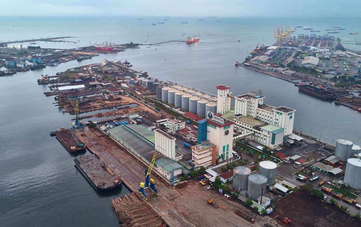 Perkuat Konektivitas Logistik, Pelindo Multi Terminal Siap Operasikan 4 Pelabuhan di Jawa dan NTB