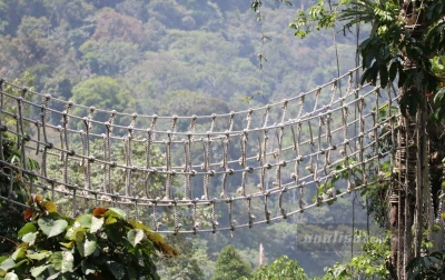 PLTA Batangtoru Tambah Lokasi Jembatan Arboreal