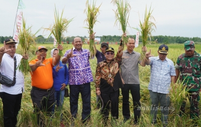 Panen Raya di Kwala Mencirim, Syah Afandin Didoakan Kembali Pimpin Langkat