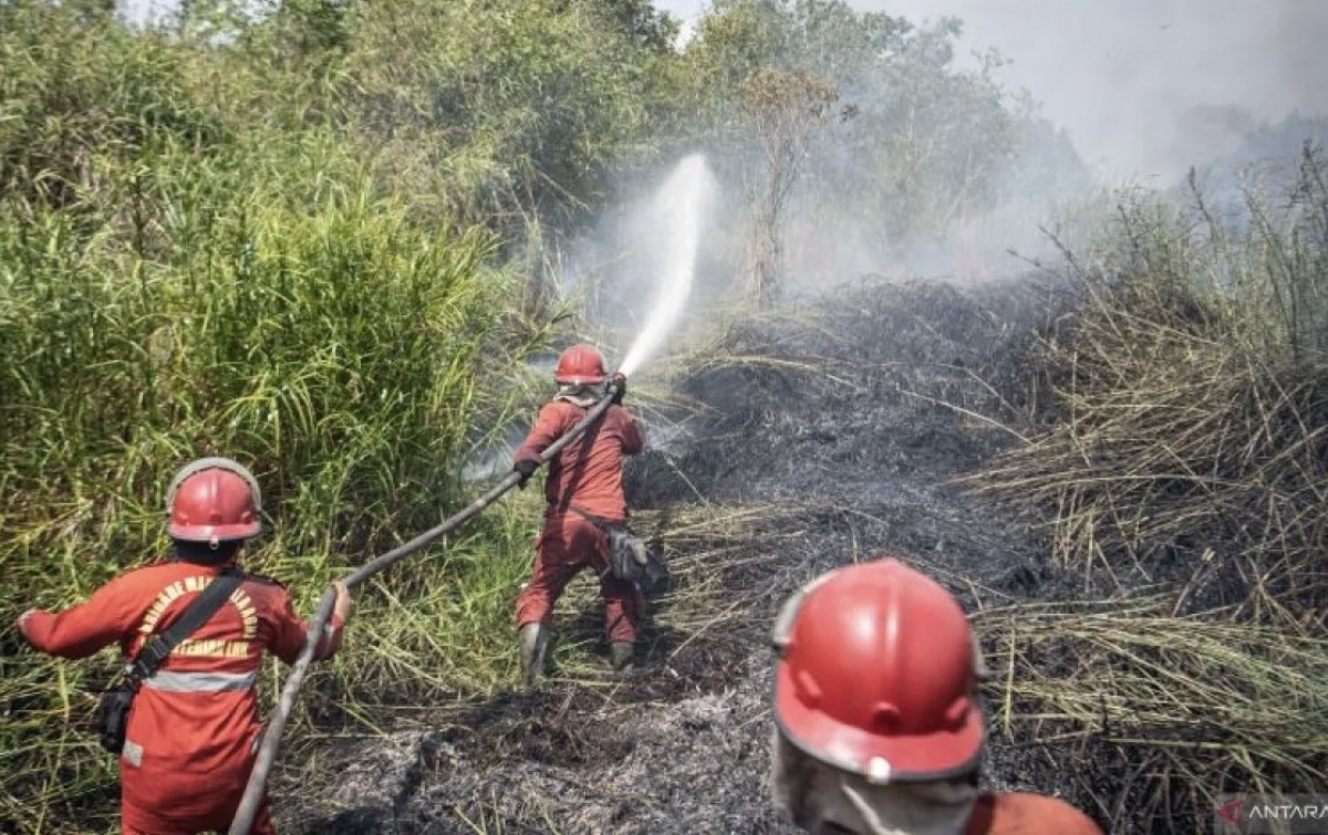 BMKG: Sejumlah Wilayah Indonesia Berpotensi Alami Karhutla hingga Hujan Lebat