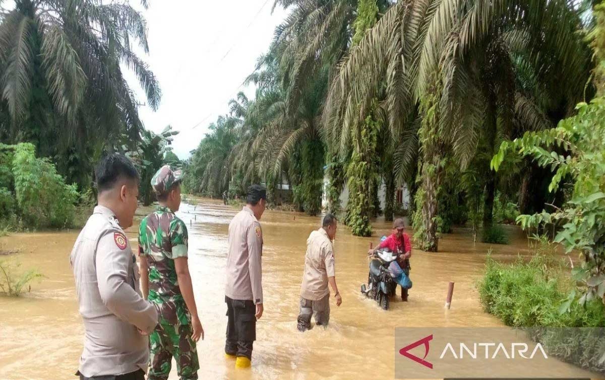 Banjir di Mandailing Natal, 100 Pemukiman Warga Terendam Air