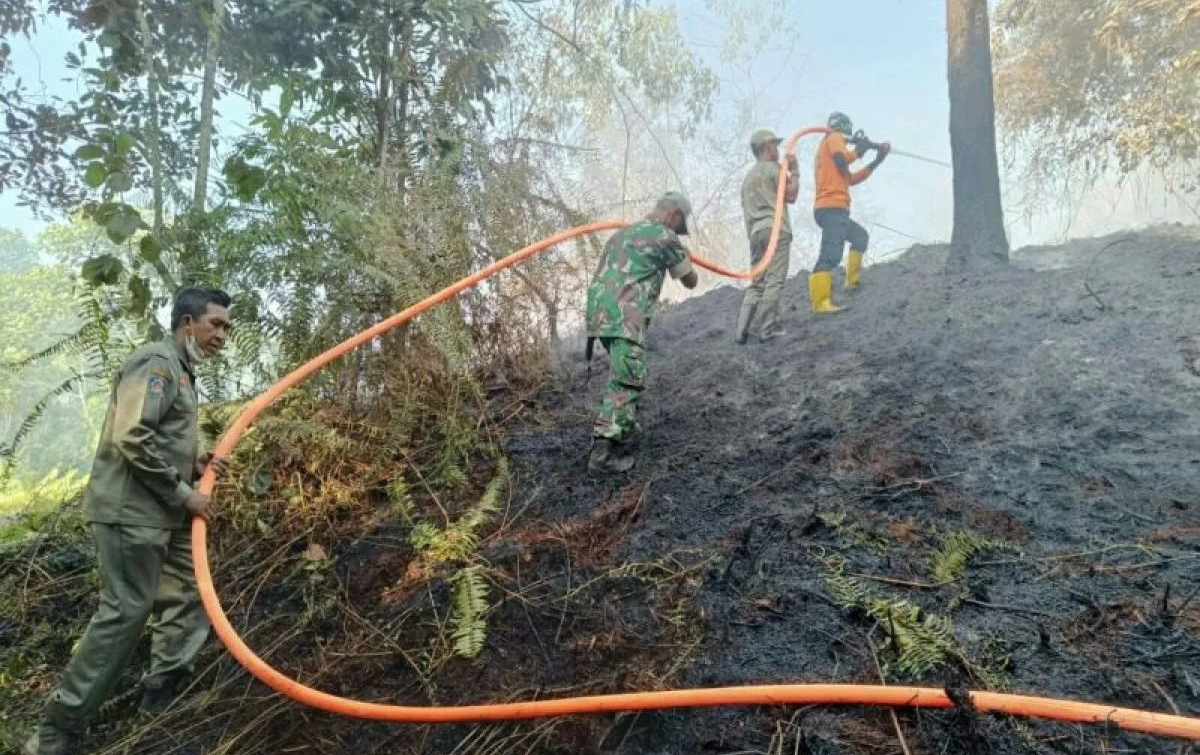 Curah Hujan Rendah, BMKG Ingatkan Potensi Kebakaran Hutan