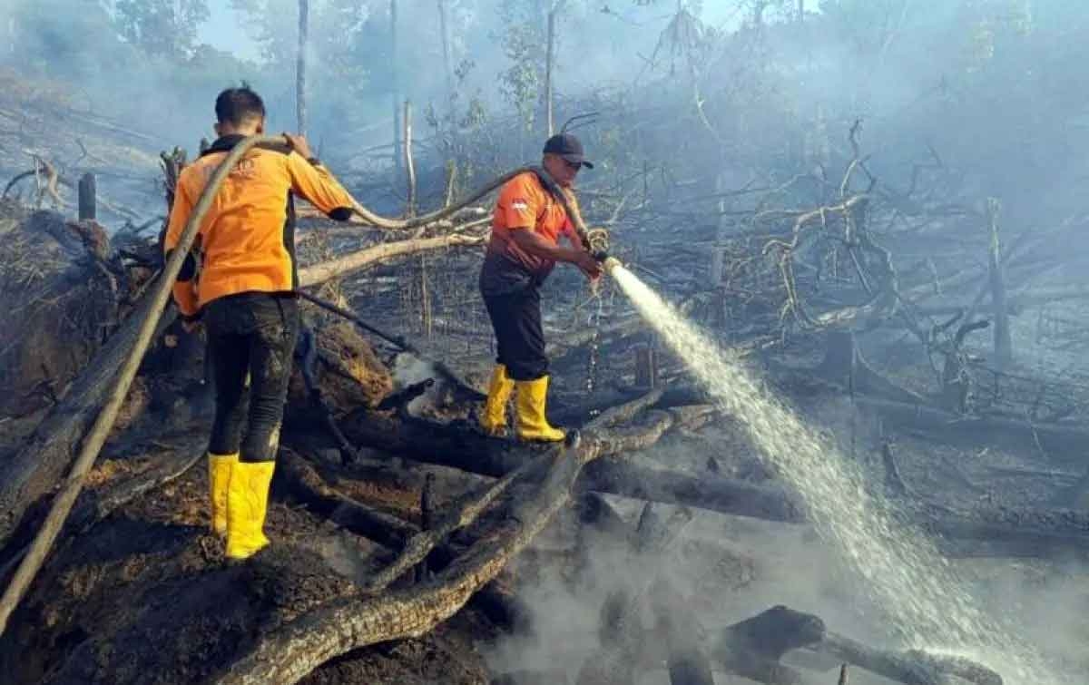 Cuaca Panas, BMKG Ingatkan Potensi Kebakaran Hutan dan Lahan
