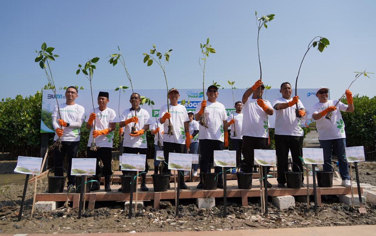 Jaga Ekosistem Laut untuk Indonesia, SPMT Group Tanam Mangrove