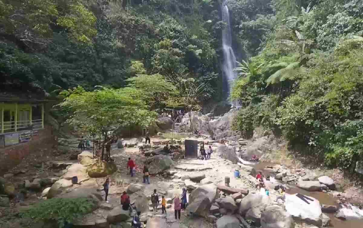 Nikmati Keindahan Wisata Pengunungan dan Kopi Robusta Sanggabuana, Wujud Pemberdayaan Desa BRILiaN