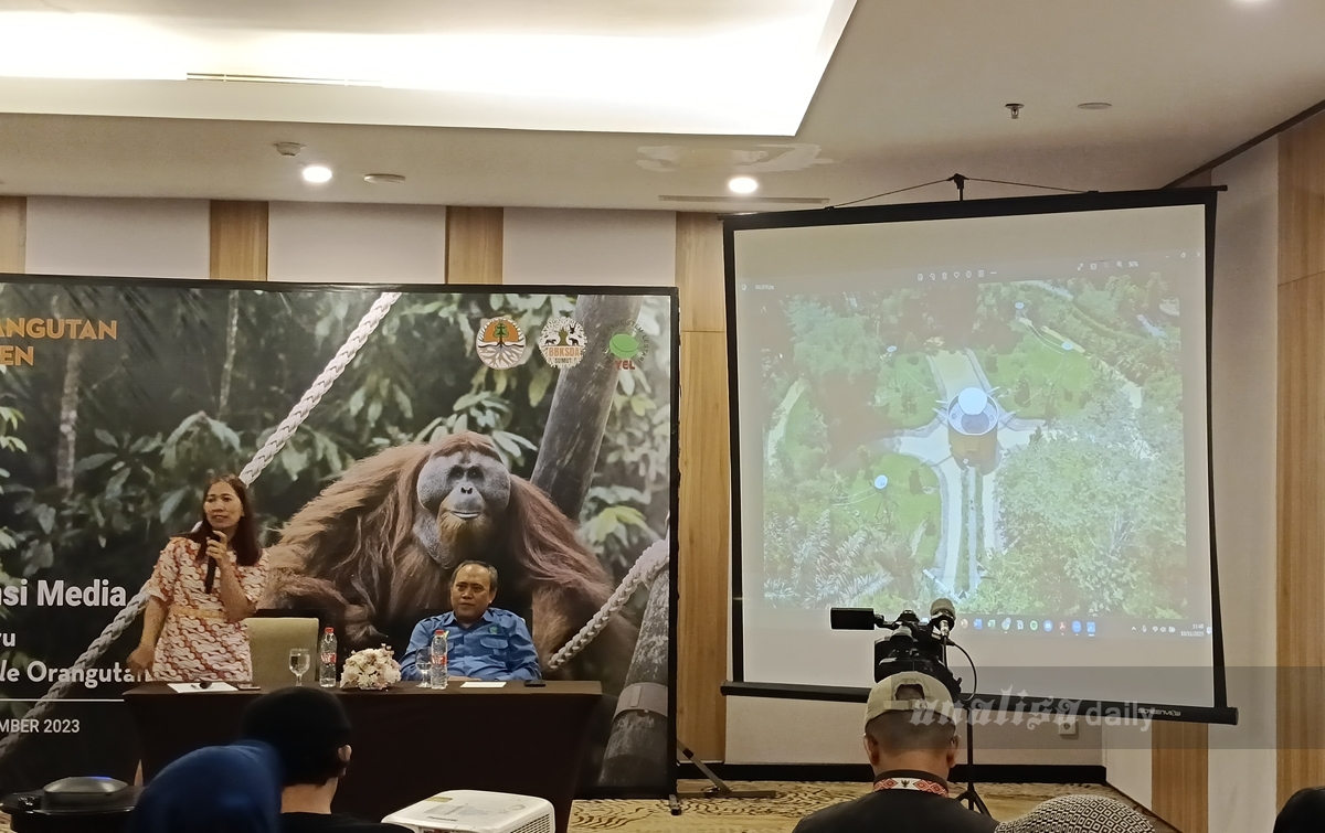 Konservasi Orangutan Dibuat Sesuai Habitatnya di Pancur Batu