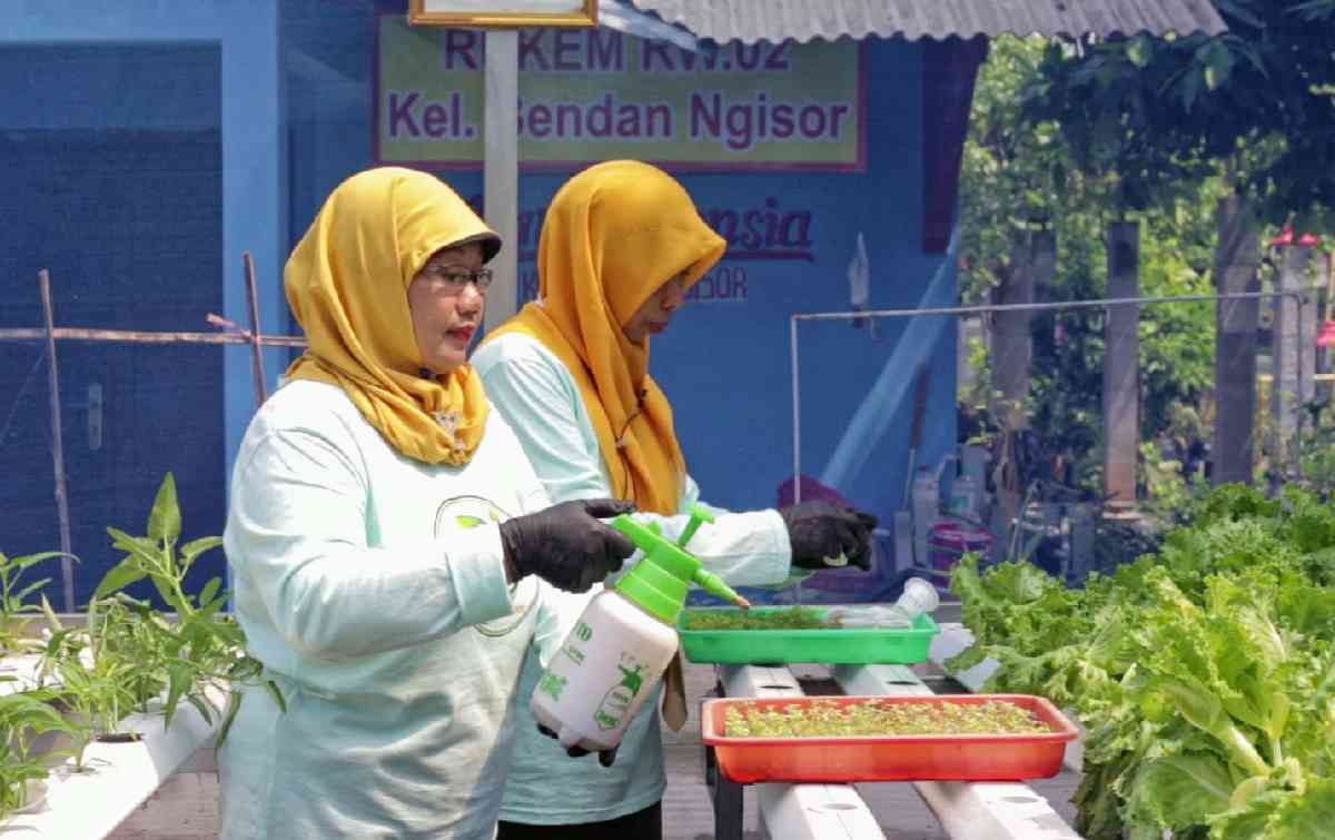 Berkat “BRInita”, Teh Herbal Jadi Produk Unggulan Poktan Bensor Semarang