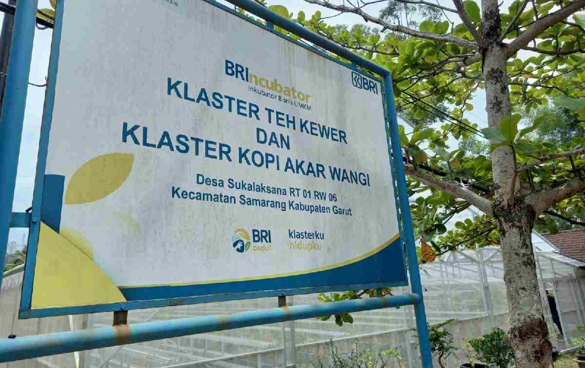 Menikmati Kopi Akar Wangi di Desa Wisata, Semakin Tumbuh dengan Program BRI 'Klasterku Hidupku'