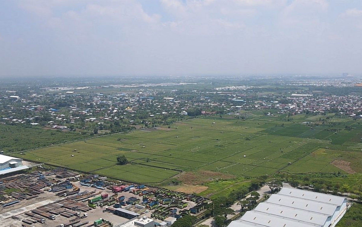 Mafia Tanah Caplok Lahan PT Jui Shin di Deliserdang