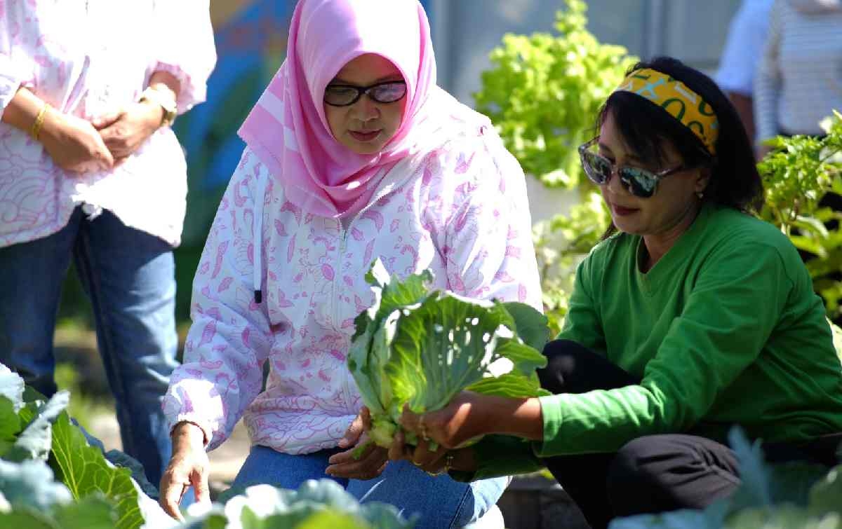 Sukses Bertani di Kota bersama BRI, Kisah Mrican Caturtunggal di Yogyakarta