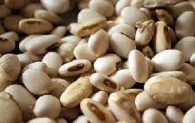 BRIN Ungkap Potensi Kacang Lokal Sebagai Pengganti Kedelai