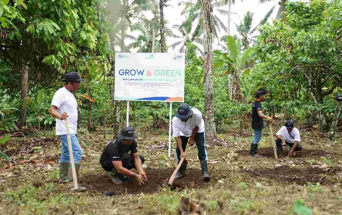 Menanam Tanaman Produktif di Lahan Kritis, BRI Grow & Green Berdayakan Dua Kelompok Tani di Bali