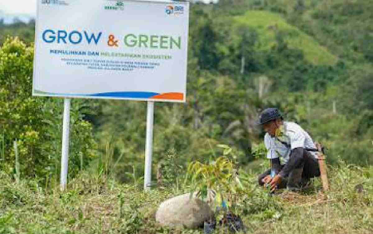 Bangkitkan Harapan Petani di Lahan Kritis, BRI Menanam Grow & Green Salurkan Bantuan Tanaman Produktif