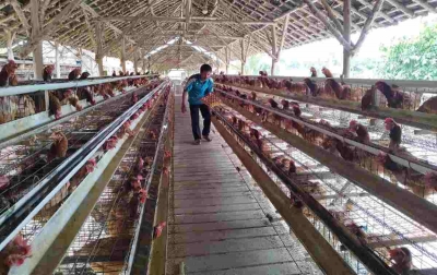 Awalnya Terhimpit Pandemi Kini Klaster Usaha Ini Berkembang Berkat Program BRI KlasterkuHidupku