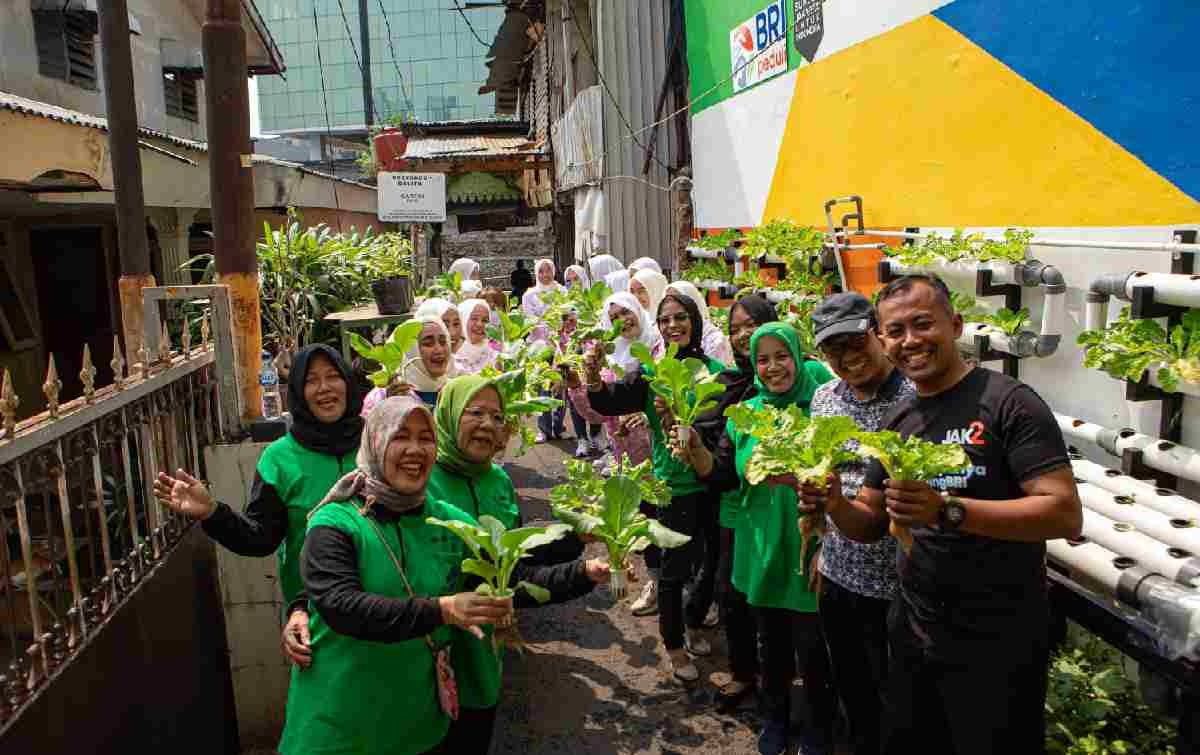 Berkat Program BRInita, Kelompok PKK Rawa Barat Sukses Budidaya Hidroponik dan Ikan Nila