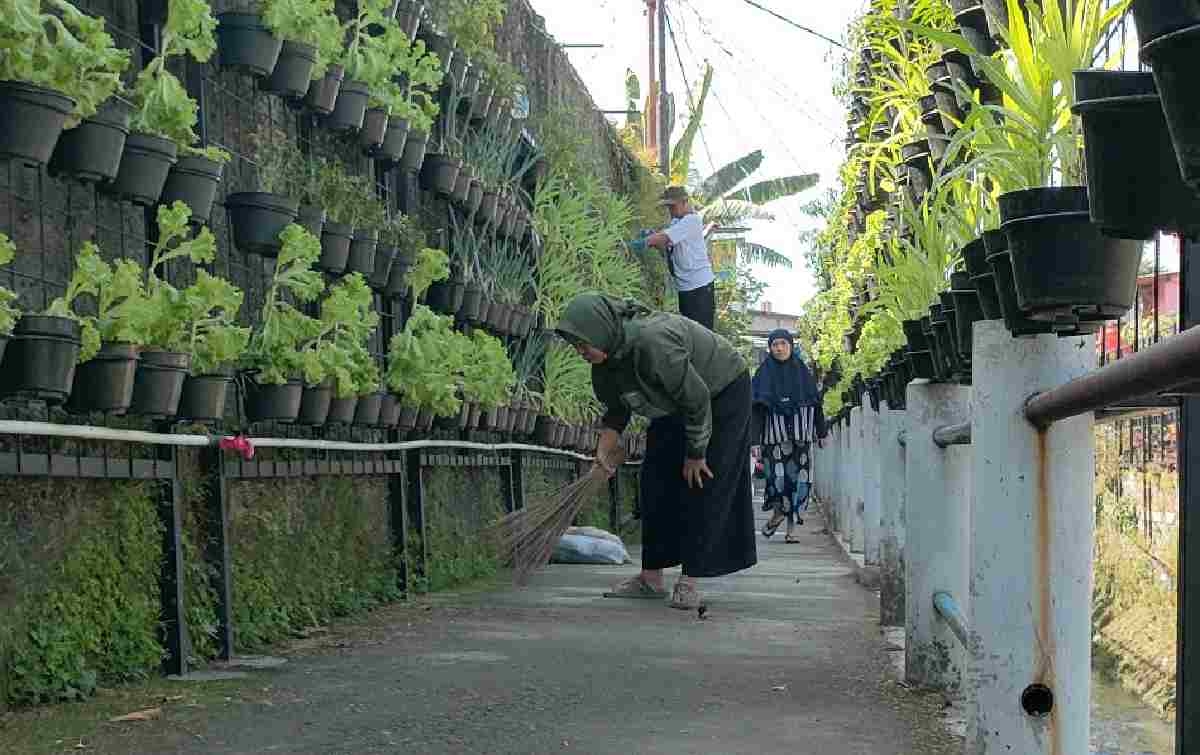 Program BRInita Sukses Jadikan Kelurahan Padjajaran Bandung Jadi Percontohan Urban Farming