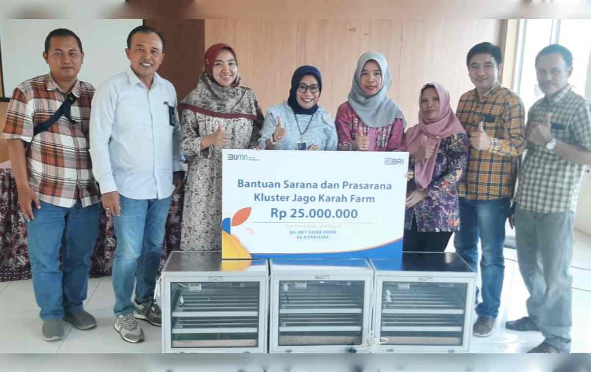 Program Pemberdayaan BRI Bikin Peternakan Ayam di Surabaya Ini Berkembang dan Bisa Bantu Banyak Orang