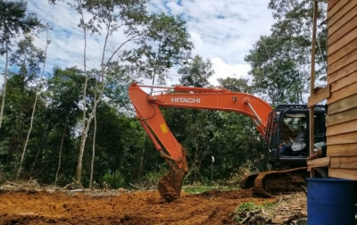 Pembukaan Hutan di Bulumario Sipirok Jadi Ancaman Bagi Habitat Orangutan Tapanuli