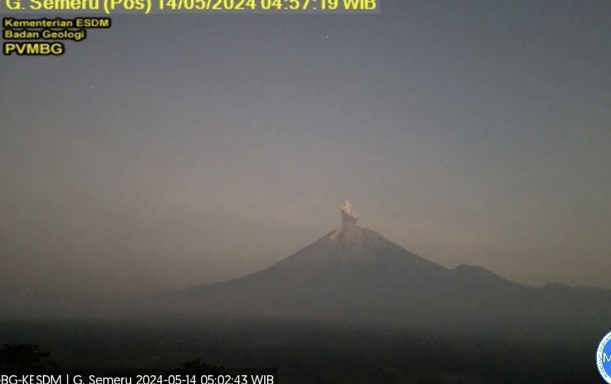 Gunung Semeru Erupsi, Semburkan Abu Vulkanik Setinggi 600 Meter