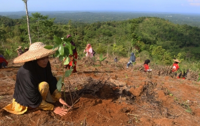 Reboisasi 33.800 Bibit Pohon, Telkom Dukung Pemulihan 82,1 Hektare Lahan Kritis