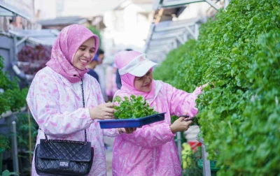 Lewat BRI Peduli - BRInita, Kelompok Dasawisma Pisang di Palembang Sulap TPS Liar Jadi Urban Farming yang Bernilai Ekonomis