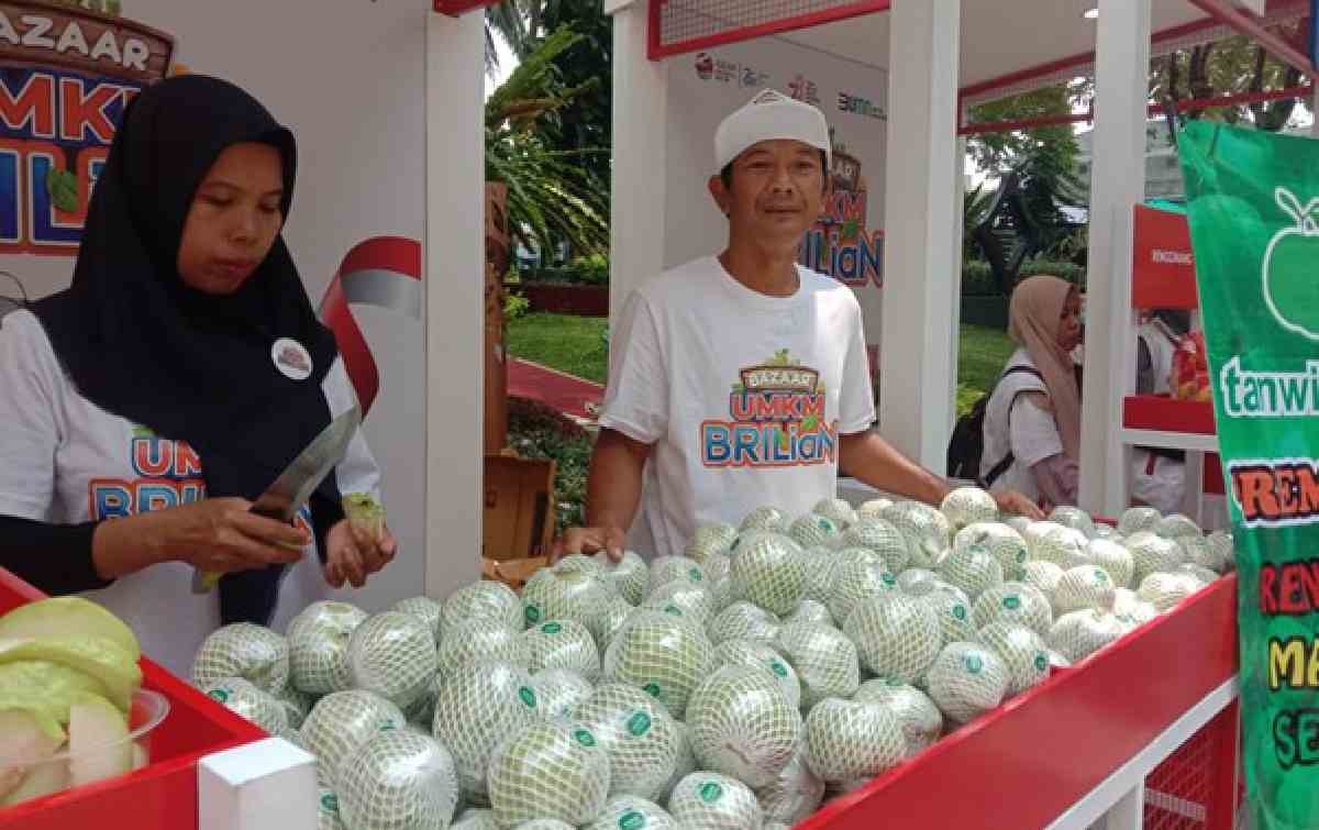 KUR BRI Dorong Kemajuan Klaster Jambu Kristal di Purworejo