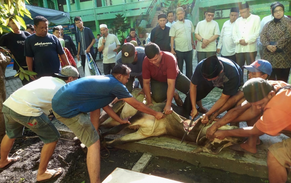 Sembelih 15 Sapi dan 5 Domba, UISU Salurkan 1.000 Kupon Daging Kurban