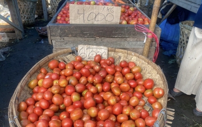 Harga Daging Ayam dan Tomat Turun, Bawang Merah Diproyeksikan Menyusul