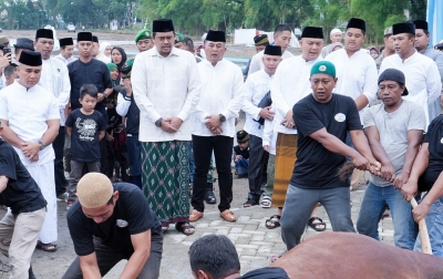 Bobby Nasution Berkurban 1 Ekor Sapi di Komplek Tasbi I Medan