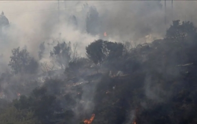 Evakuasi Massal di New Mexico Dipicu Kebakaran Hutan