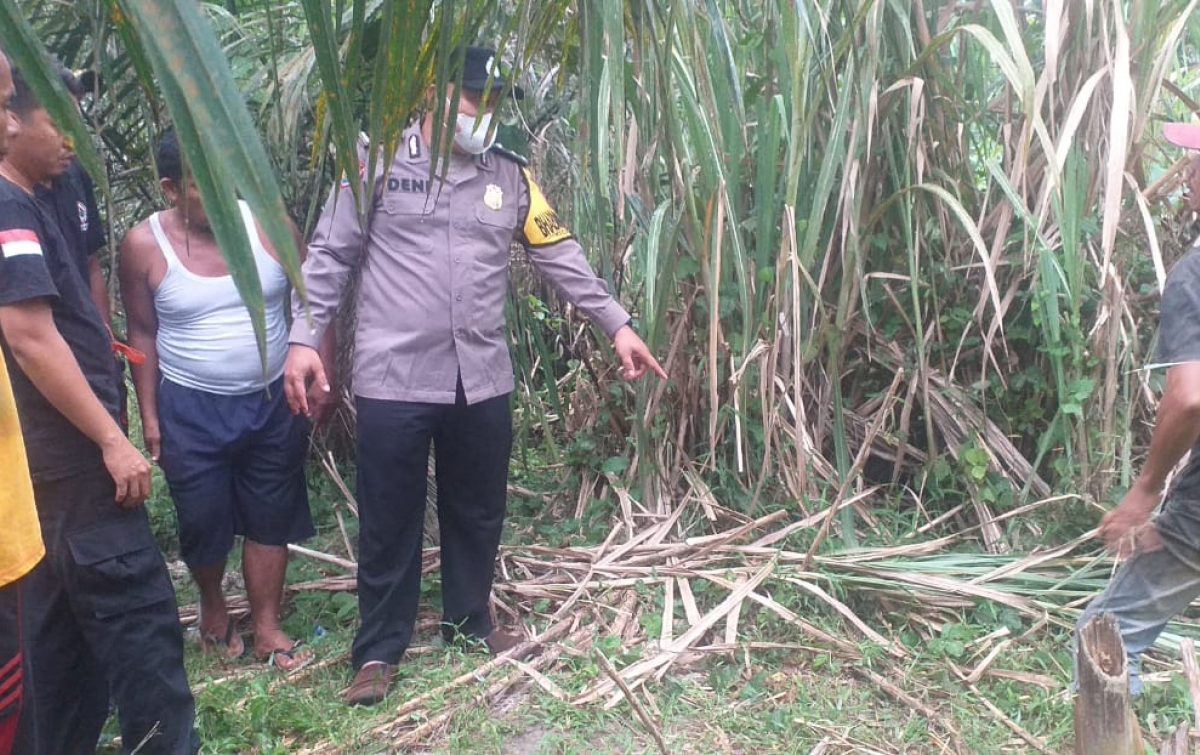 Jasad Pria Ditemukan di Kebun Sawit, Hasil Visum Ahli Forensik Sebut Tewas Disambar Petir