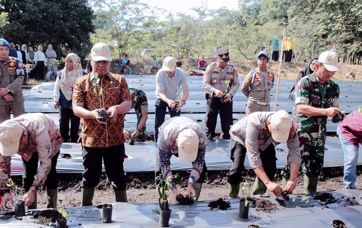 Antisipasi Inflasi, Ardan Noor Hasibuan Tanam Cabai Merah