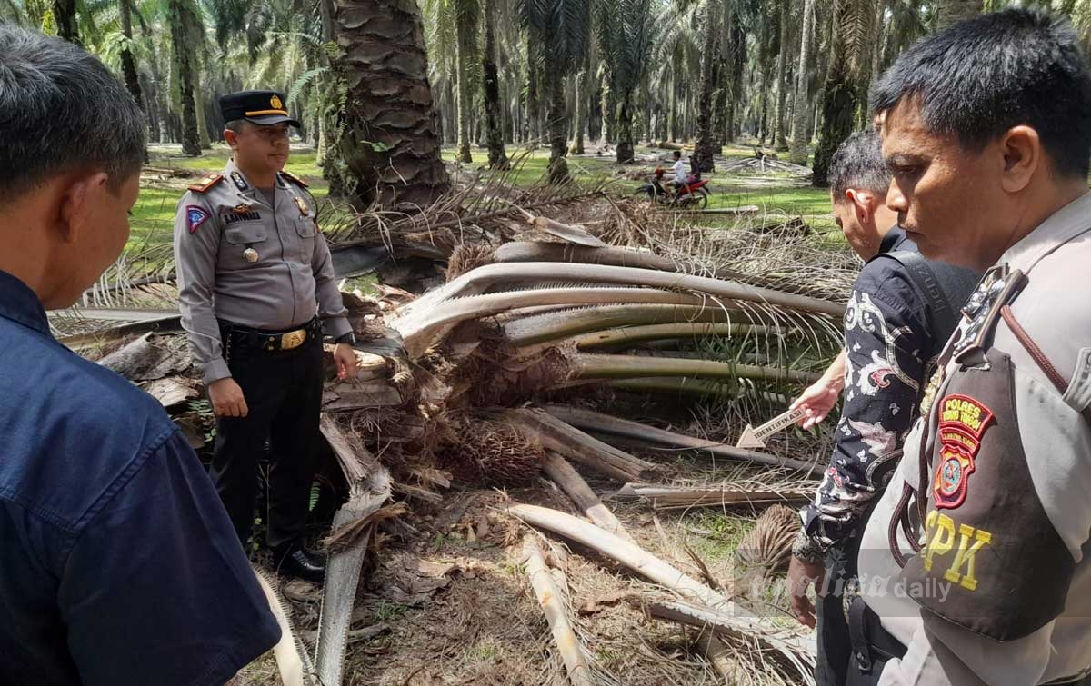 Meninggal Saat Mencari Brondolan Sawit, Polisi Selidiki Kematian Ramadi