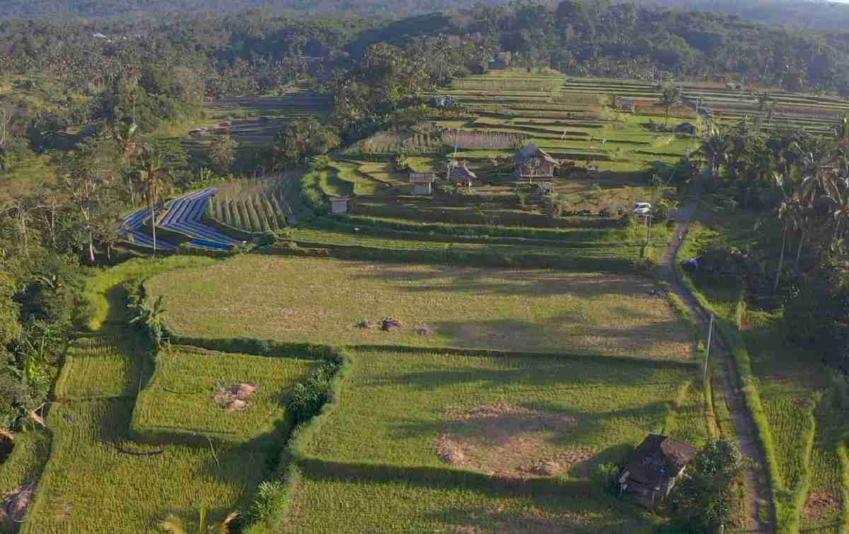 Mengenal Desa Angseri, Desa BRILiaN dengan Tata Kelola Terbaik