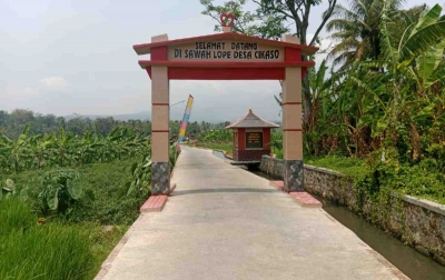 Sukses Gali Potensi Pertanian dan Wisata, Ini Cerita Desa Cikaso yang Raih Juara Desa BRILian