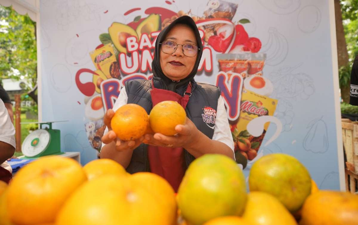 Usaha Klaster Jeruk Ini Makin Berkembang Berkat Pemberdayaan BRI