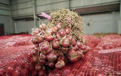 Harga Bawang Merah Terjun Bebas, di Sumut Ada yang Dijual Rp 15.000/Kg